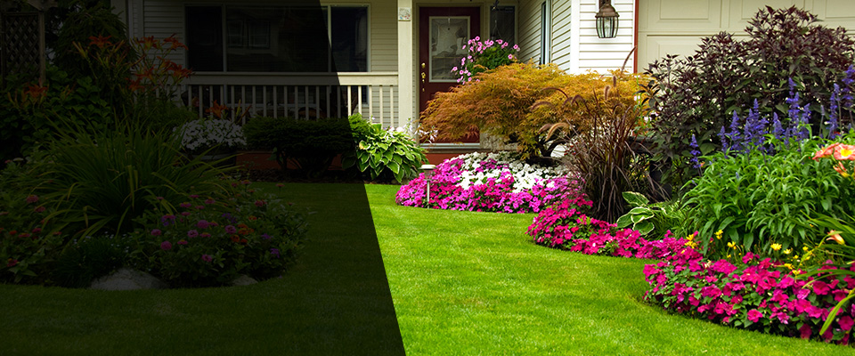 Greenlawn Landscapers