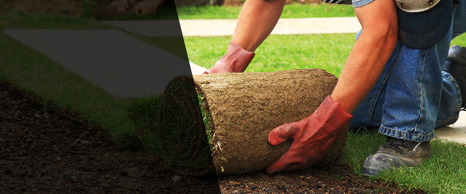 Greenlawn Landscapers